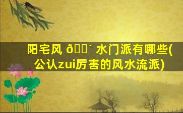 阳宅风 🐴 水门派有哪些(公认zui
厉害的风水流派)